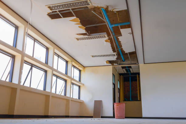Best Water damage restoration services  in Fox River Grove, IL