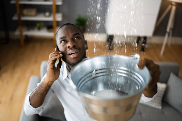 Best Local water damage restoration  in Fox River Grove, IL