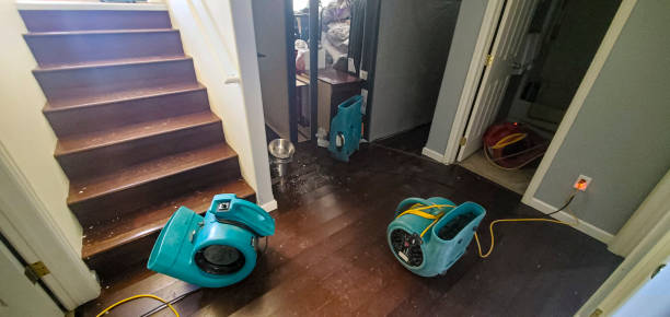 Best Basement water damage restoration  in Fox River Grove, IL