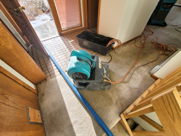 , IL Water damage restoration Company