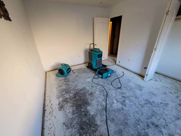 Best Flooded house restoration  in Fox River Grove, IL