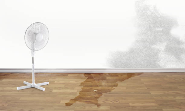 Sewage cleanup and water damage restoration in IL