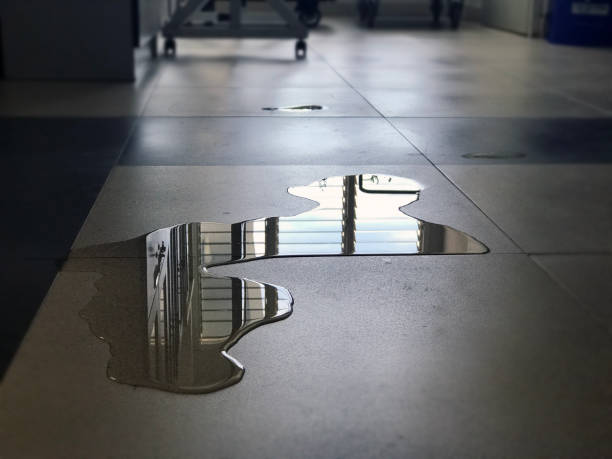 Best Flood restoration services  in Fox River Grove, IL