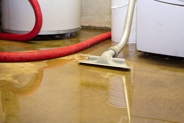 Best Water damage restoration near me  in Fox River Grove, IL