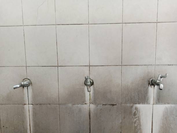 Best 24/7 water damage repair  in Fox River Grove, IL