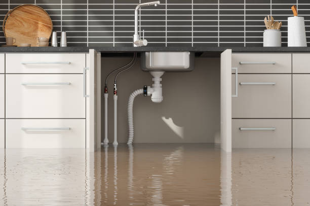Best Water damage restoration near me  in Fox River Grove, IL